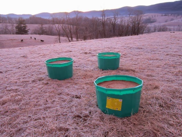juliet huddy breast size riomax and cattle lick tubs